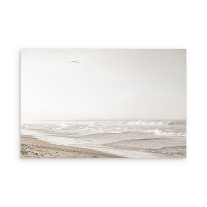 Oceanside 3005