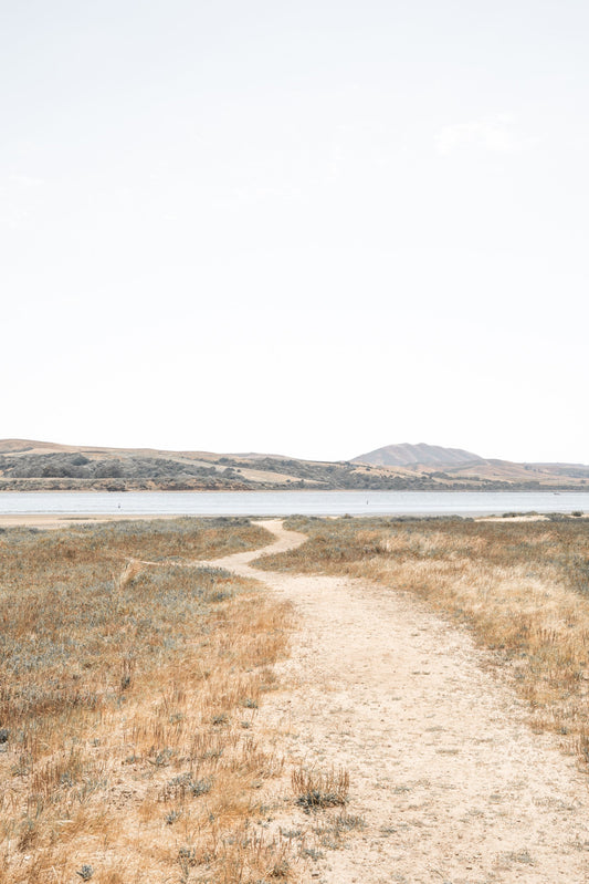 Photography by Salt Creek Prints of: Tomales Bay 7148, Tomales Bay and the rolling hills of Marin County, California.