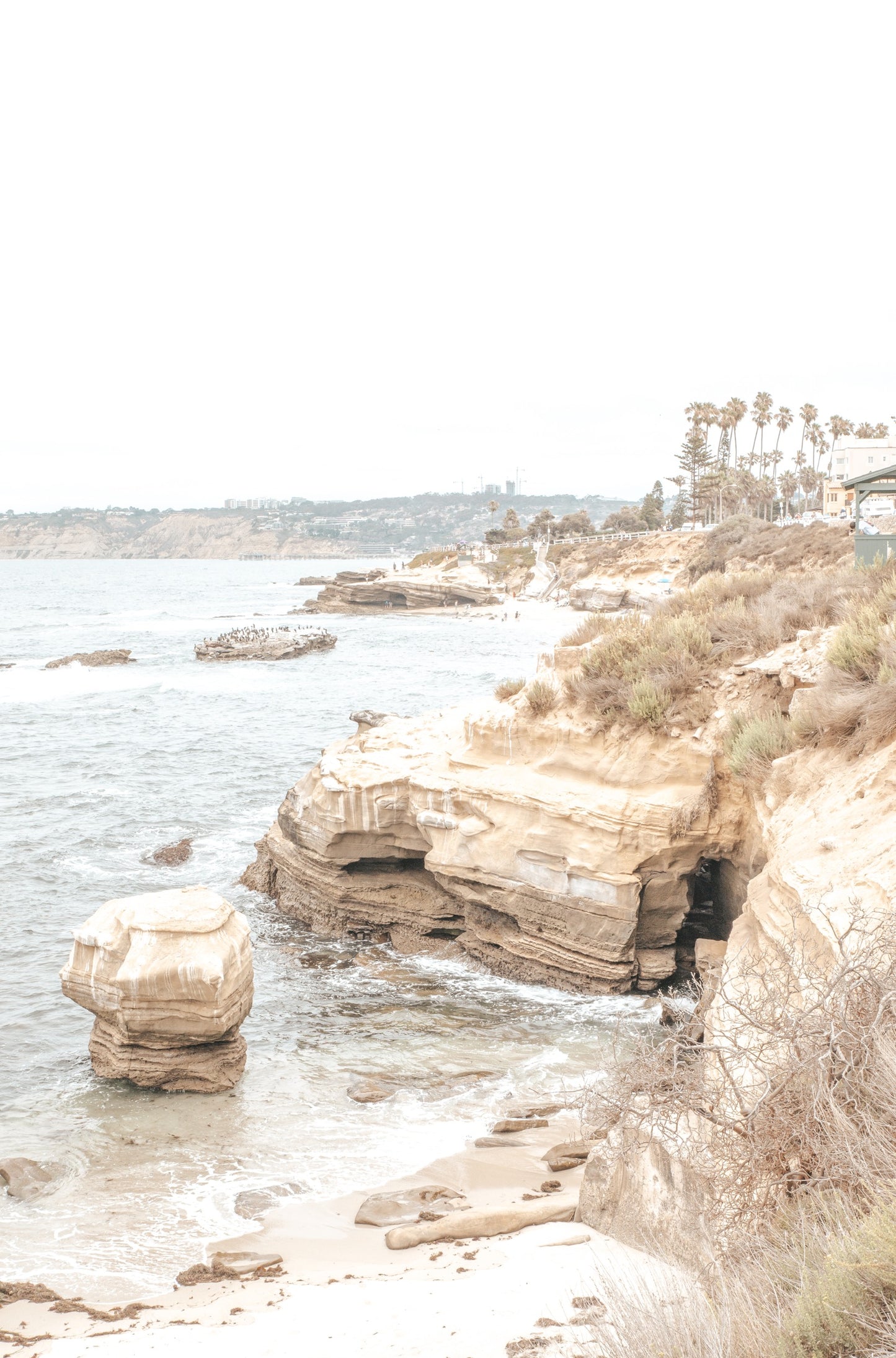 Photography by Kim Dybczak of: This is a vertical photograph of La Jolla Cove in California. 