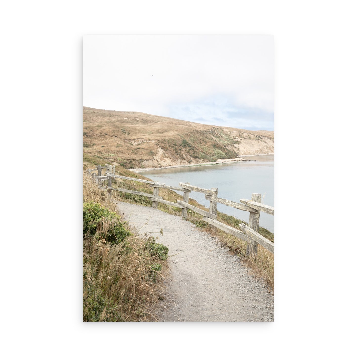 Drakes Bay 7374