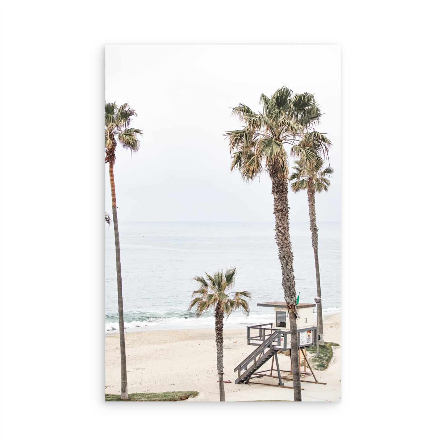 Laguna Beach 8083