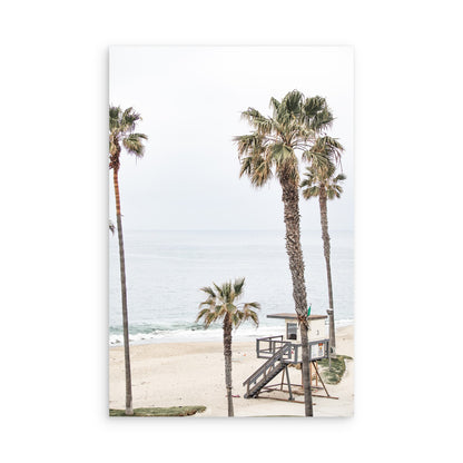 Laguna Beach 8083