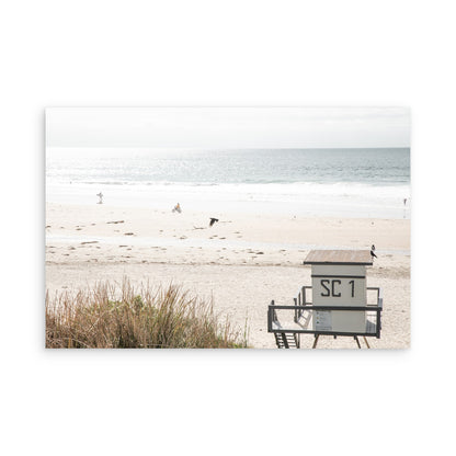 Salt Creek Beach 6932