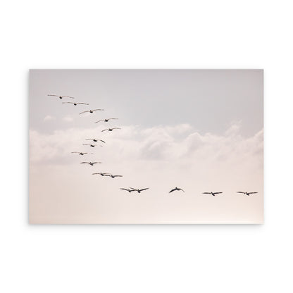 Birds at Sunset 5319