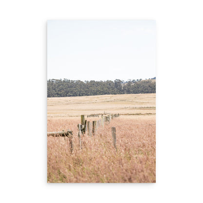Point Reyes 7188