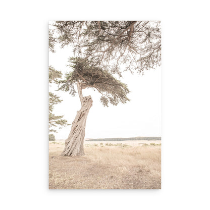 Point Reyes 7157