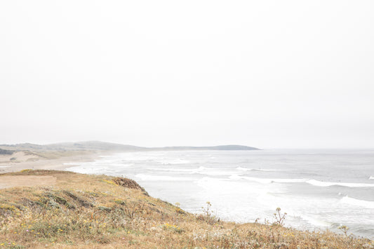 Photography by Salt Creek Prints of: Salmon Creek Beach 7456, the coastline of Salmon Creek Beach, Bodega Bay.