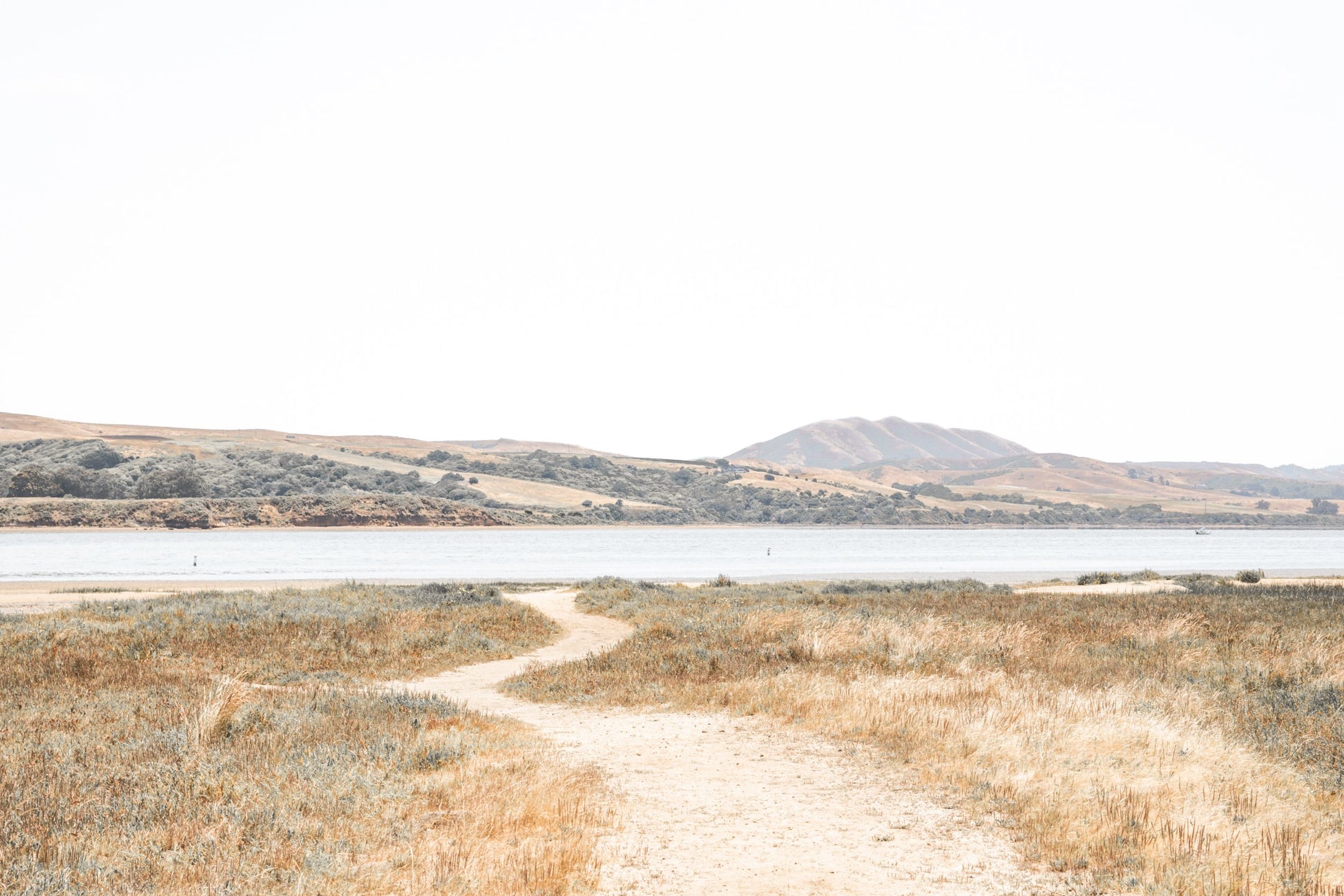 Photography by Salt Creek Prints of: Tomales Bay 7149, Tomales Bay and the rolling hills of Marin County, California.