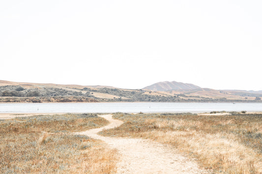 Photography by Salt Creek Prints of: Tomales Bay 7149, Tomales Bay and the rolling hills of Marin County, California.