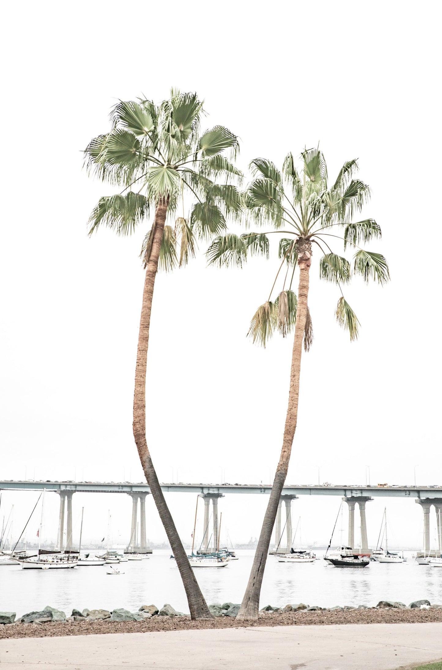 Photography by Kim Dybczak of: Coronado 5906