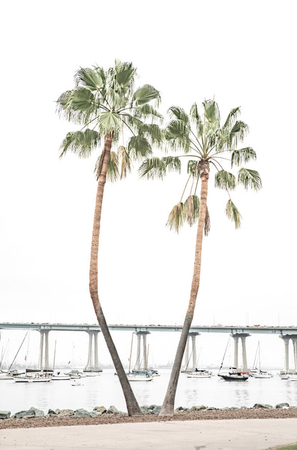 Photography by Kim Dybczak of: Coronado 5906