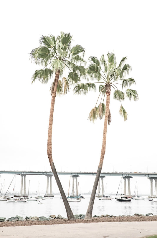 Photography by Kim Dybczak of: Coronado 5906