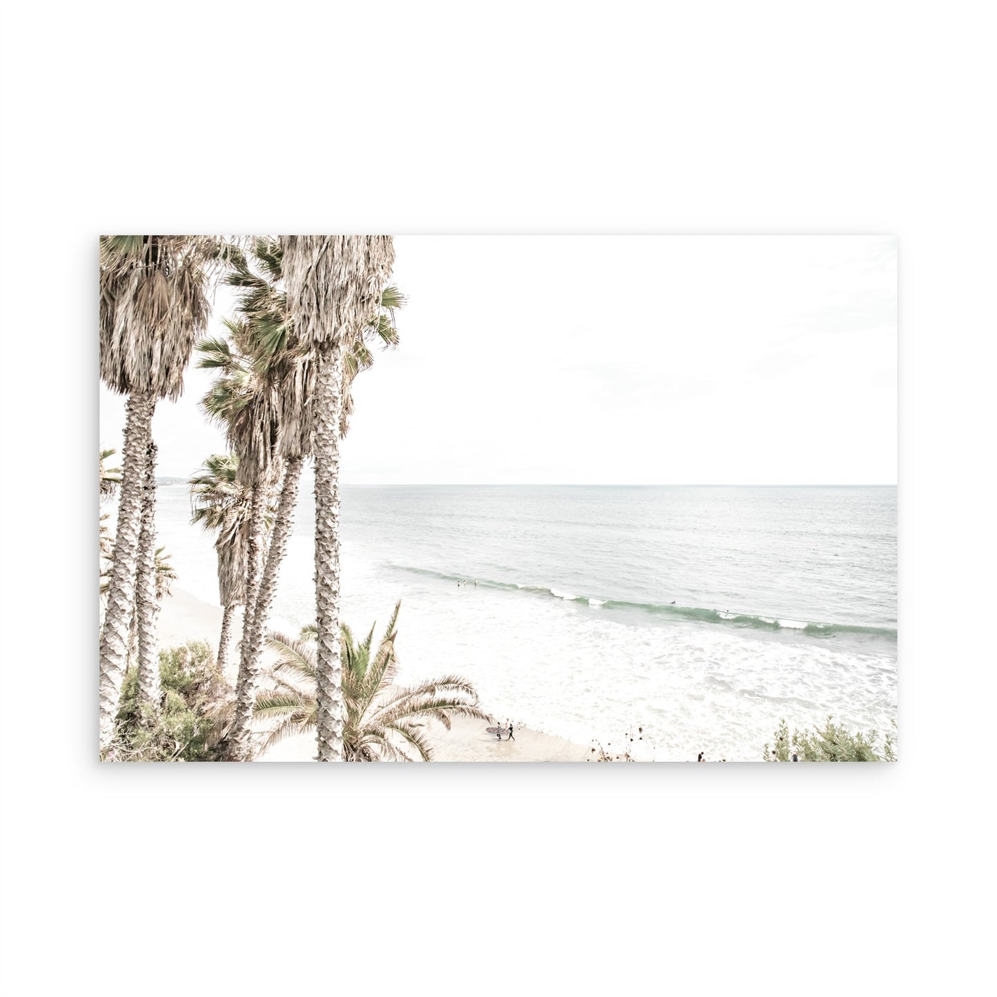Swamis 5061