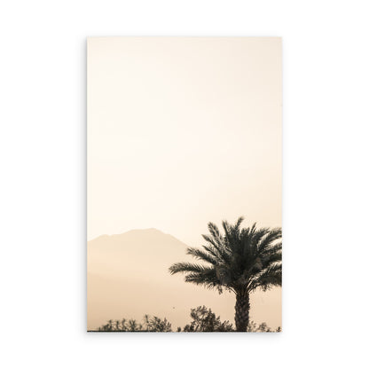 Palm Springs 2666