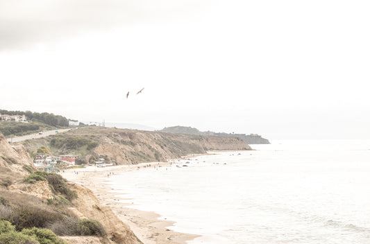 Photography by Kim Dybczak of: Crystal Cove 6417