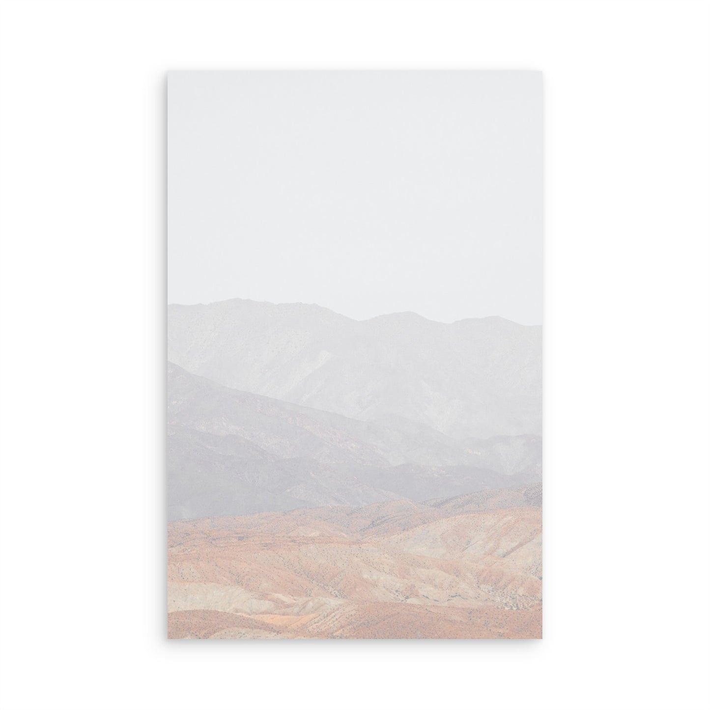 Palm Springs 2459