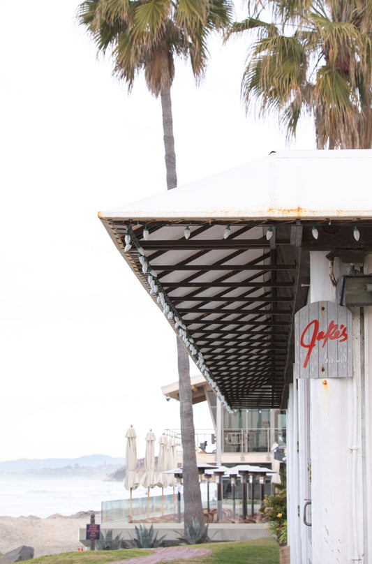 Photography by Kim Dybczak of: Tall palms frame the coast, with ocean and sky stretching out beyond.