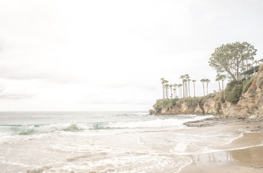 Photography by Kim Dybczak of: Shaws Cove 6470