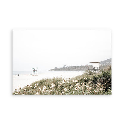 Salt Creek Beach 8252