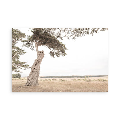 Point Reyes 7161
