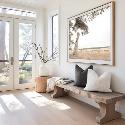 Framed photo of: Point Reyes 7161 displayed above a bench in a neutral entry way.