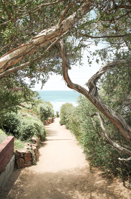 Photography by Kim Dybczak of: California shoreline stretches wide, with gentle waves smoothing the sand.