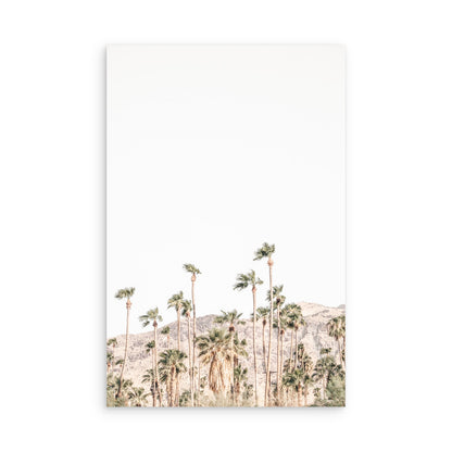 Palm Springs 2487