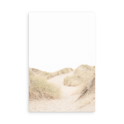 Salmon Creek Beach 7624