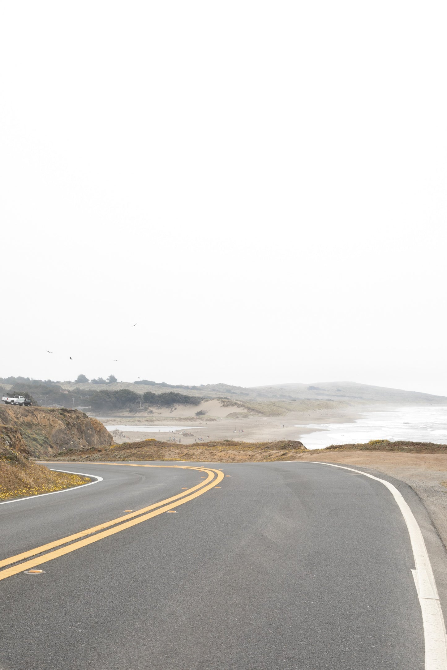 Photography by Salt Creek Prints of: Salmon Creek Beach 7457, windy road at Salmon Creek Beach, Bodega Bay.
