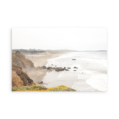 Salmon Creek Beach 7463