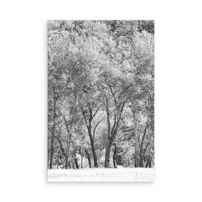 Yosemite 3546