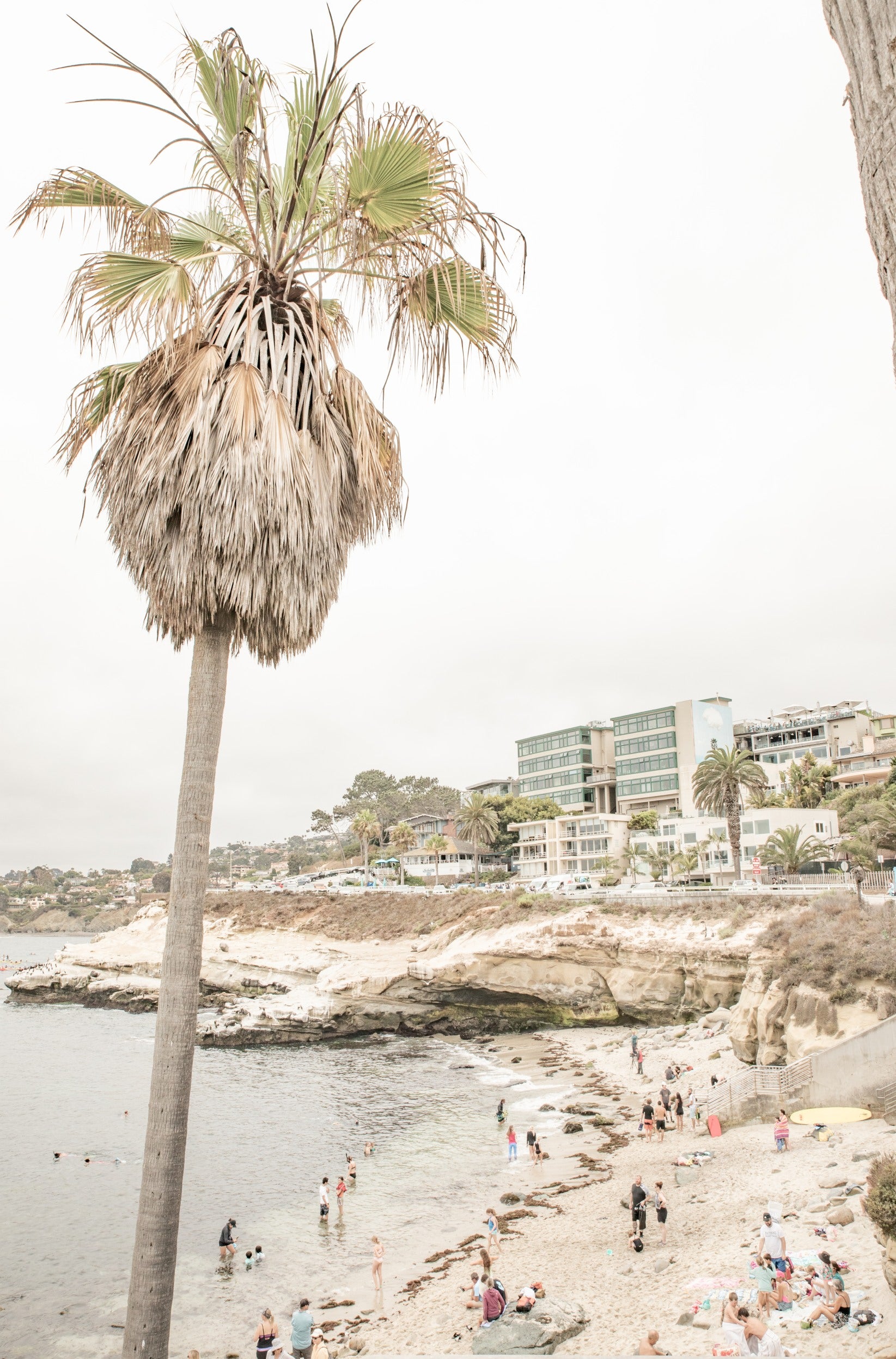 Photography by Kim Dybczak of: La Jolla Cove 5605