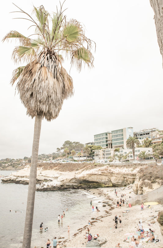 Photography by Kim Dybczak of: La Jolla Cove 5605