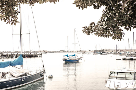 Photography by Kim Dybczak of: A sailboat drifts offshore at San Diego, framed by wide sky and calm water.