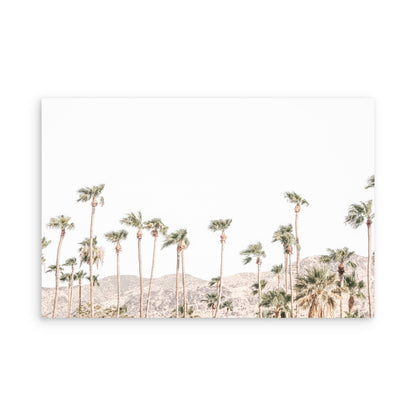 Palm Springs 2471