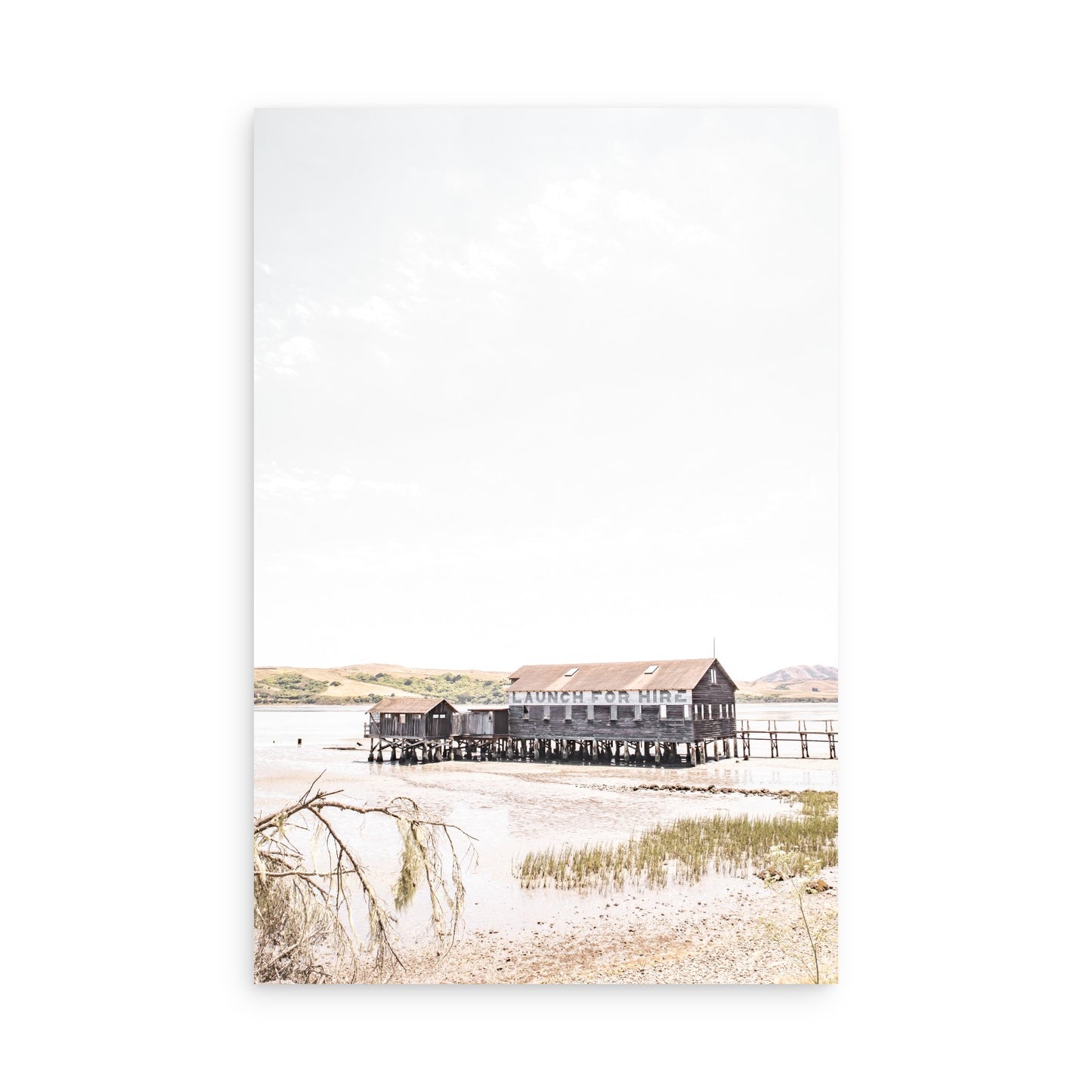 Tomales Bay 7142