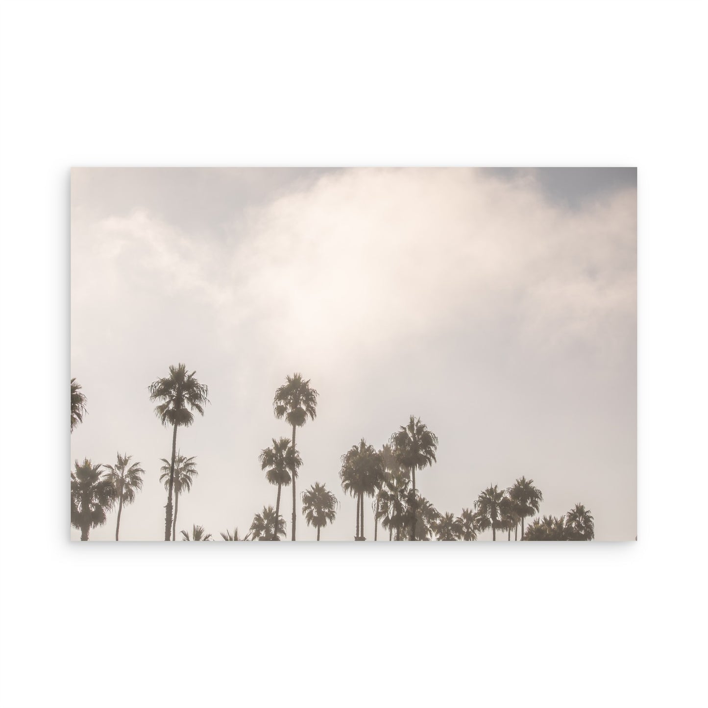 Oceanside 3014