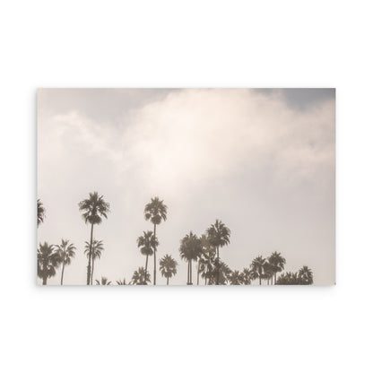 Oceanside 3014