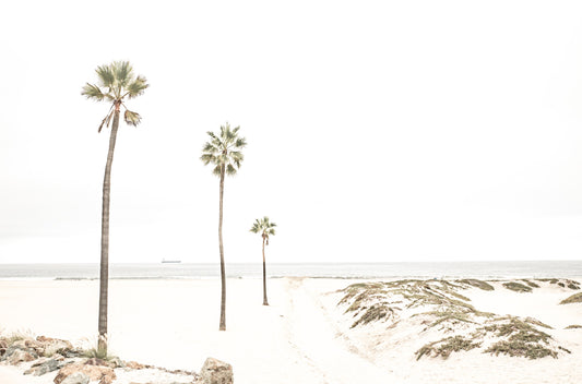 Photography by Kim Dybczak of: Coronado 6140