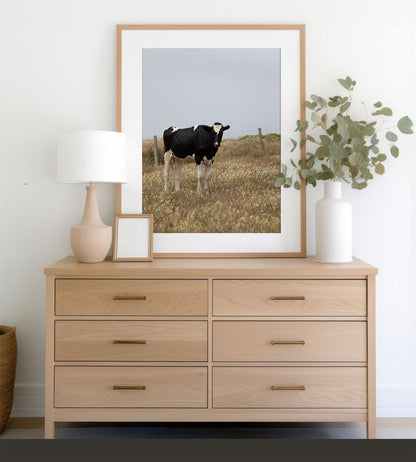 Framed photo of: Cow 7204 displayed on a modern dresser. 