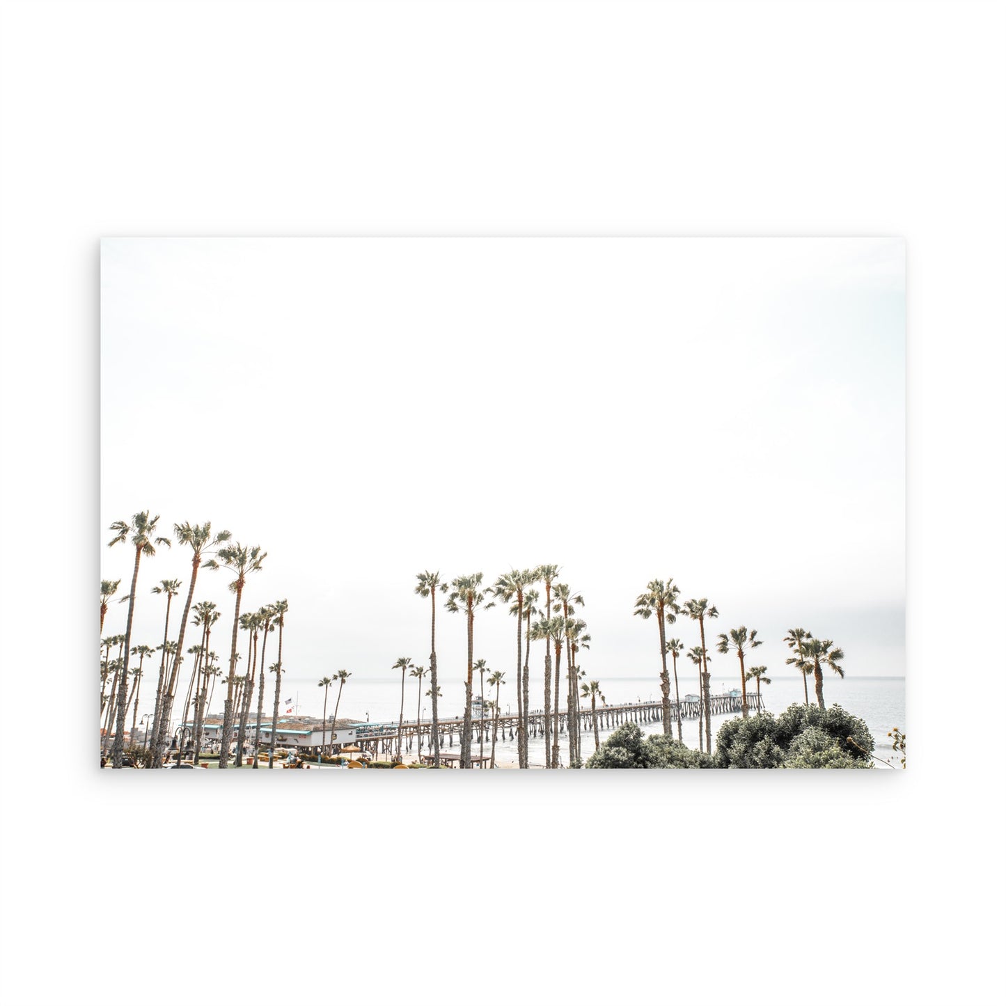 San Clemente 8419