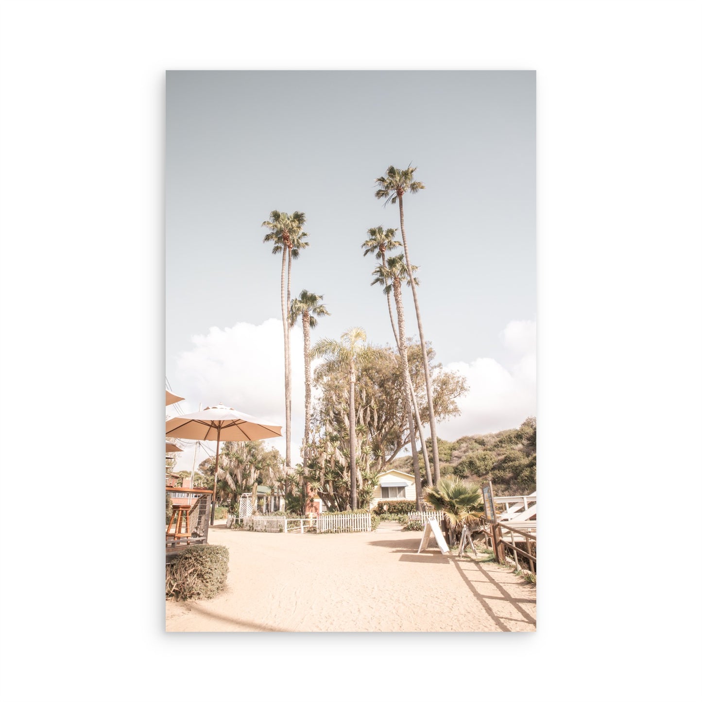 Crystal Cove 6372