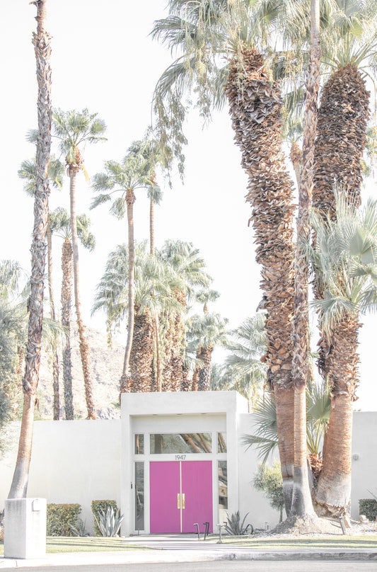 Photography by Kim Dybczak of: Palm trees line the coast, rising above the shoreline and open water.