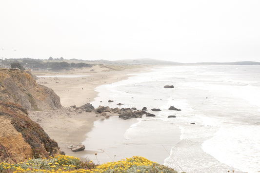 Photography by Salt Creek Prints of: Salmon Creek Beach 7463, the coastline of Salmon Creek Beach, Bodega Bay.