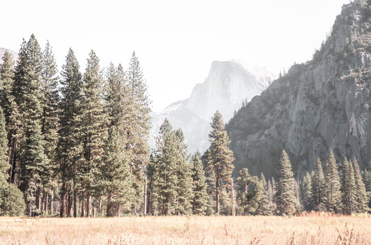 Photography by Kim Dybczak of: Rugged cliffs at California drop toward the Pacific, shaping a dramatic coastline.