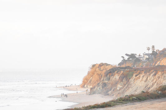 Photography by Kim Dybczak of: Torrey Pines cliffs rise above the shoreline, meeting open ocean below.