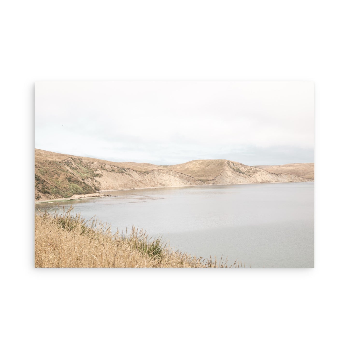 Drakes Bay 7384