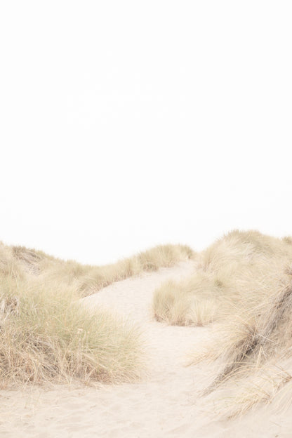 Photography by Salt Creek Prints of: Salmon Creek Beach 7624, Minimalist grassy dunes at Salmon Creek Beach, Bodega Bay.