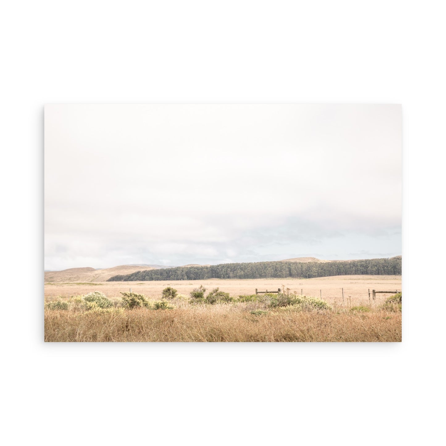 Point Reyes 7153