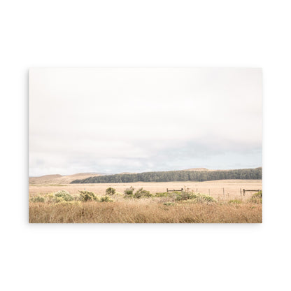 Point Reyes 7153